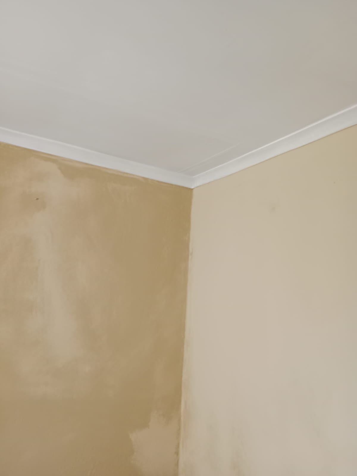 Flat Image 5